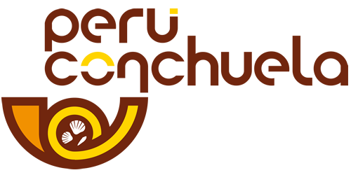  PERÚ CONCHUELA 